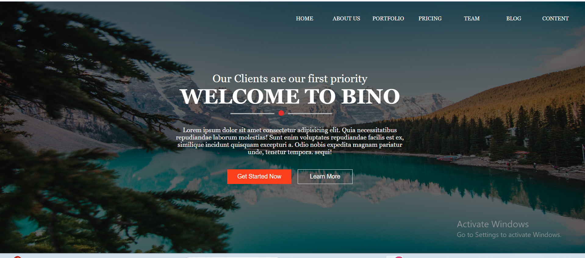 travel site landing page pic